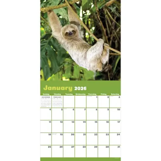 2026 Sloths Wall Calendar {3}