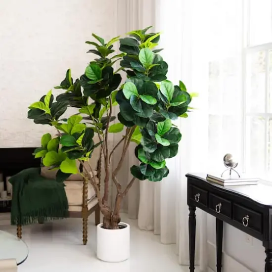 6ft. Artificial Grand Fiddle Leaf Tree in White Decorative Planter {3}