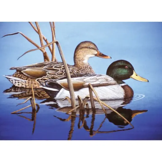 Royal & Langnickel® Blue Water Mallards Paint By Number Kit {1}
