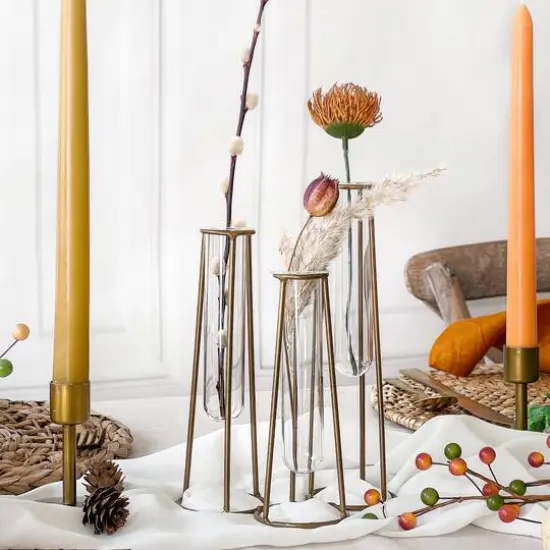 Kate Aspen&reg; Test Tube Flower Vase Set {6}