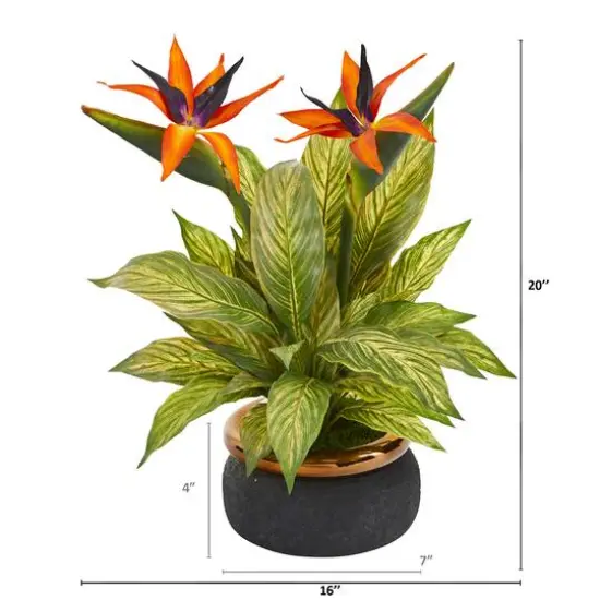 20" Bird of Paradise and Musa Leaf Arrangement in Stoneware Bowl {3}