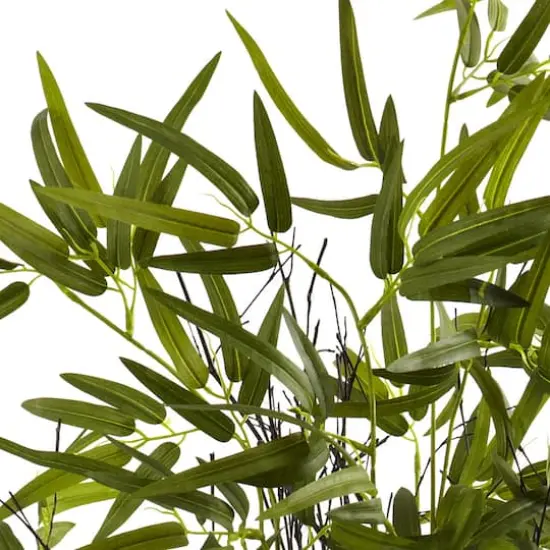 4ft. Potted Black Bamboo Tree {3}