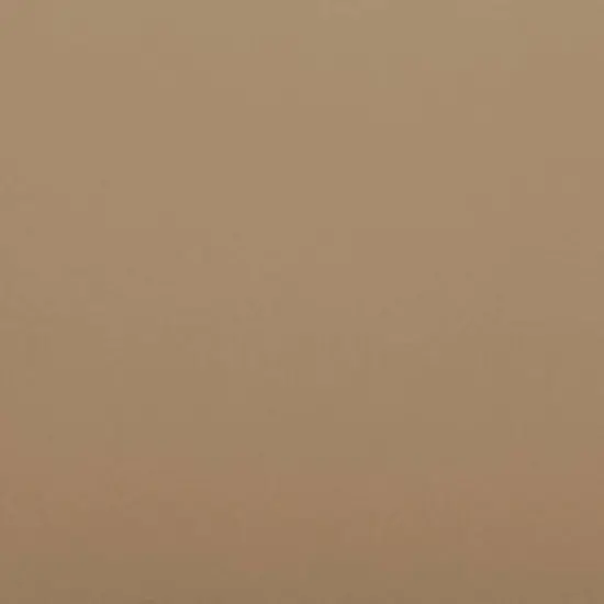 JAM Paper Tissue Paper, 480 Sheets Tan {5}