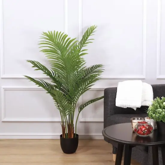 4ft. Areca Palm in Black Planter {4}