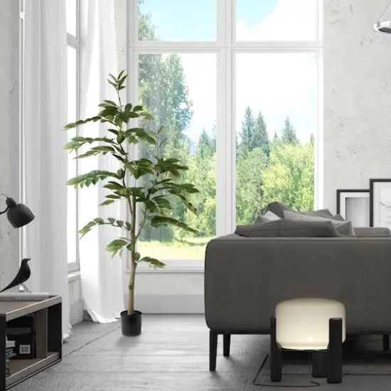 6ft. Potted Green Nandina Tree {3}