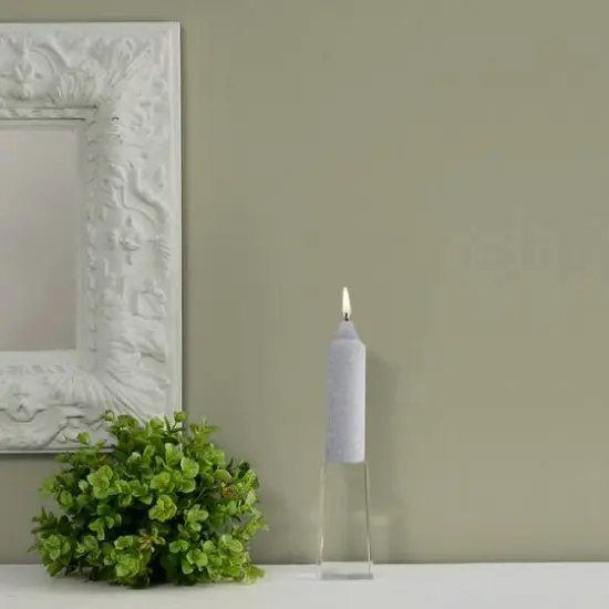 Root Candles 5" Unscented Timberline&trade; Collenette Taper Candles, 8ct. Platinum {4}