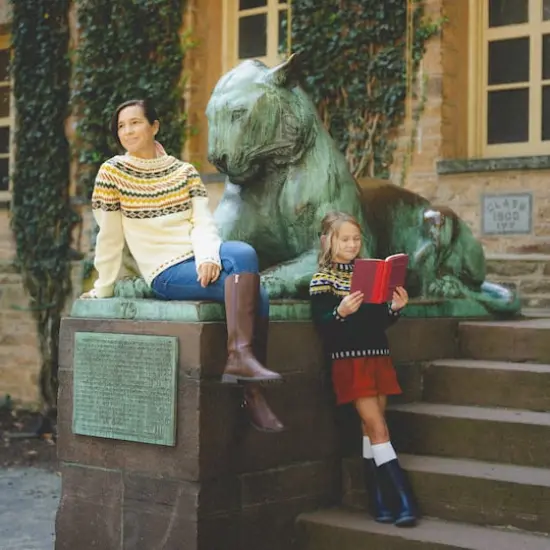 3 Pack Lion Brand&reg; Wool-Ease&reg; DK Yarn Pumpkin {3}