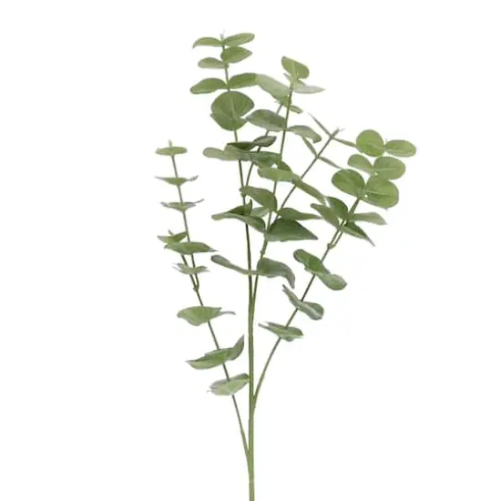 Green Gunni Eucalyptus Stem by Ashland&reg; {3}