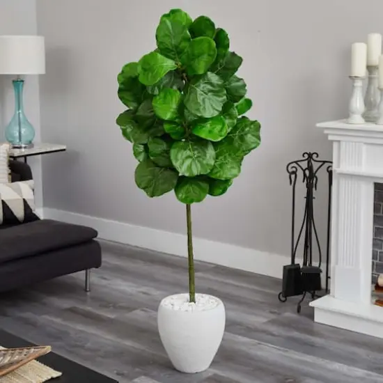 5ft. Fiddle Leaf Tree with White Planter {6}