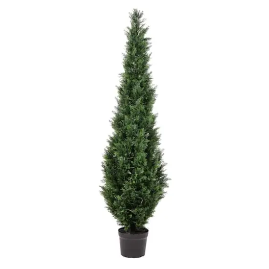6ft. Potted Cedar Tree {1}