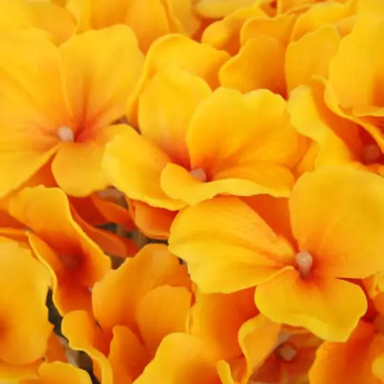 10" Hydrangea Bouquet in Natural Basket Marigold Yellow {5}