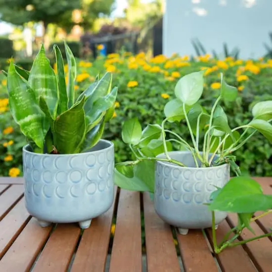 Flora Bunda&reg; Glass Blue Small Moon Phase Footed Planter Set {3}