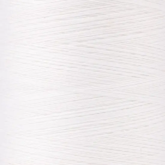 Coats & Clark™ Professional™ Machine Quilting Thread, 3,000yd. White {3}