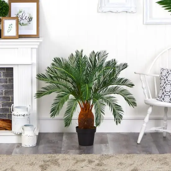 3ft. Potted Cycas Tree {4}