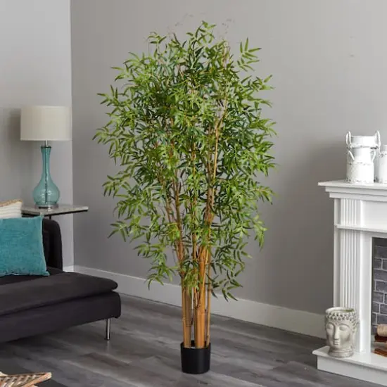 6ft. Potted Japanese Bamboo Tree {3}