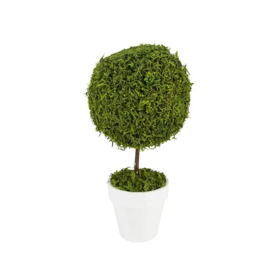 15" Artificial Reindeer Moss Ball Topiary Tree in White Pot {1}