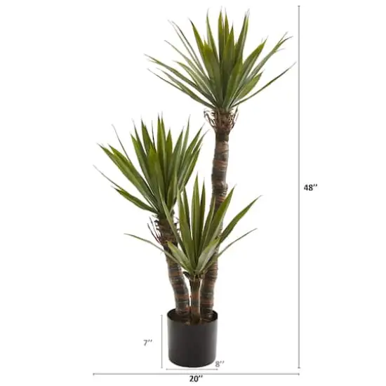 4ft. Potted Yucca Tree {3}