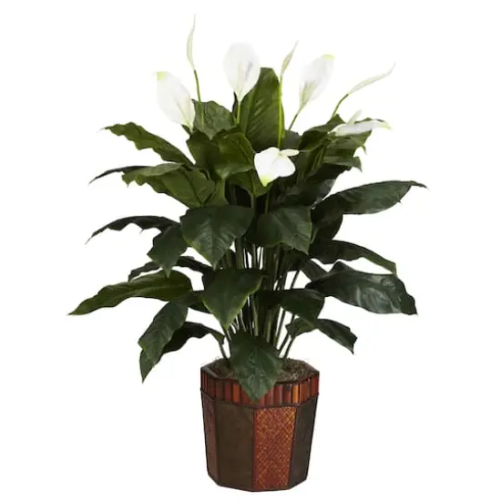 4ft. Peace Lily Plant in Wood Vase {1}