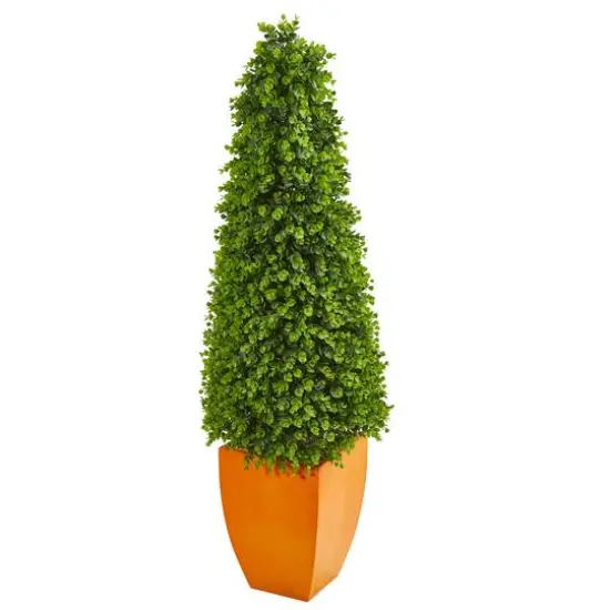 5ft. Eucalyptus Topiary in Orange Planter {1}