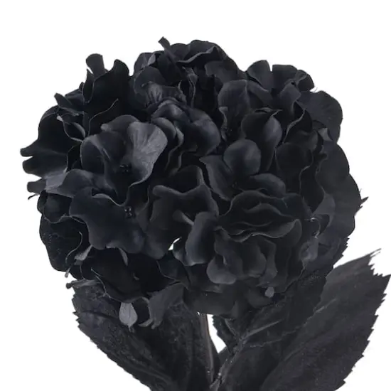 Black Hydrangea Stem by Ashland&reg; {4}