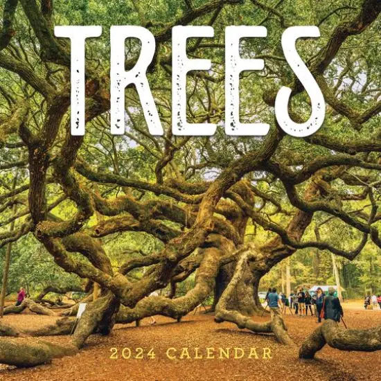 TF Publishing 2024 Trees Wall Calendar {1}