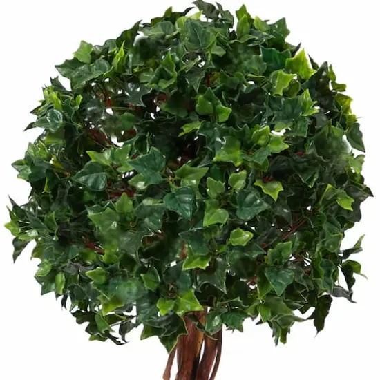 3.5ft. Potted English Ivy Ball Topiary Tree {5}