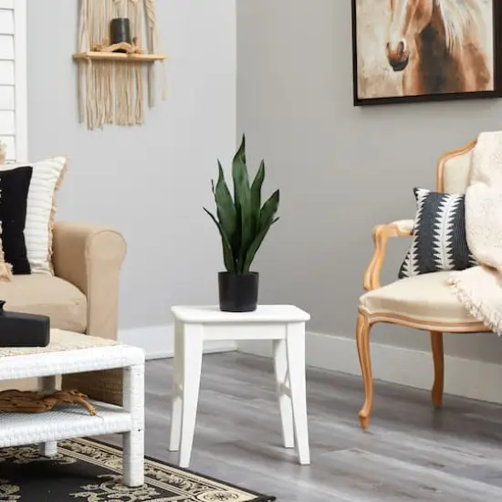 22" Potted Snake Plant {5}