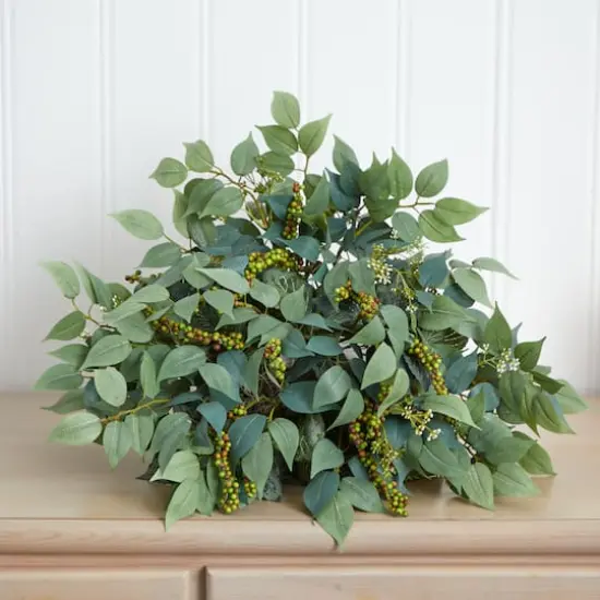 20'' Mixed Ficus & Fittonia Ledge Plant  {5}