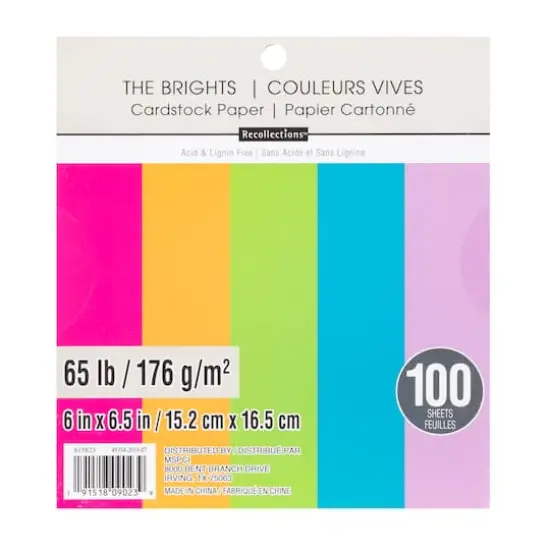 The Brights 6" x 6.5" Cardstock Paper by Recollections&trade;, 100 Sheets {1}