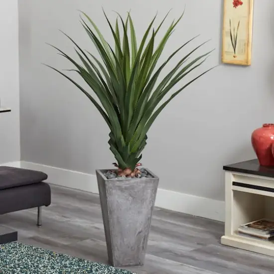 5ft. Spiked Agave Plant in Cement Planter {5}