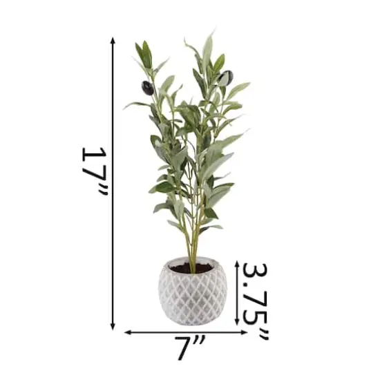 Flora Bunda&reg; 14" Olive Branch In 4" Ceramic Pot {3}