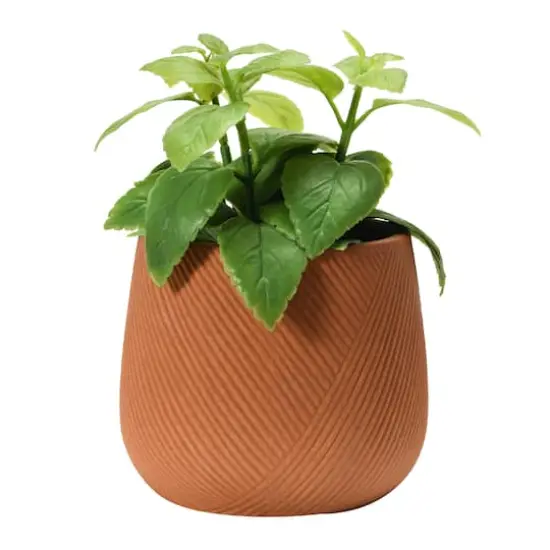 Hello Honey&reg; 6" Terracotta Finish Stoneware Flower Pot {4}