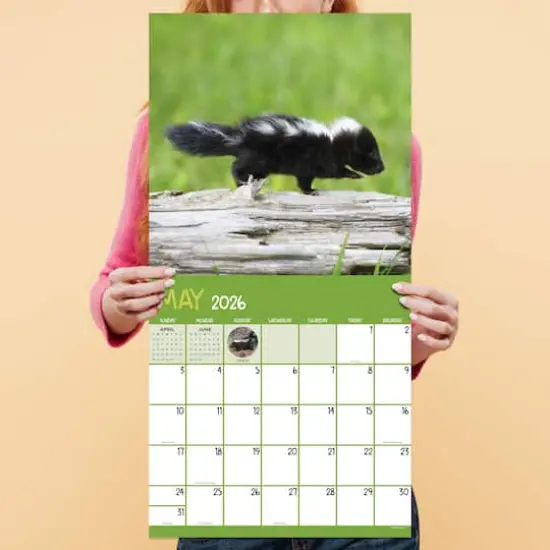 2026 Baby Animals Wall Calendar {5}