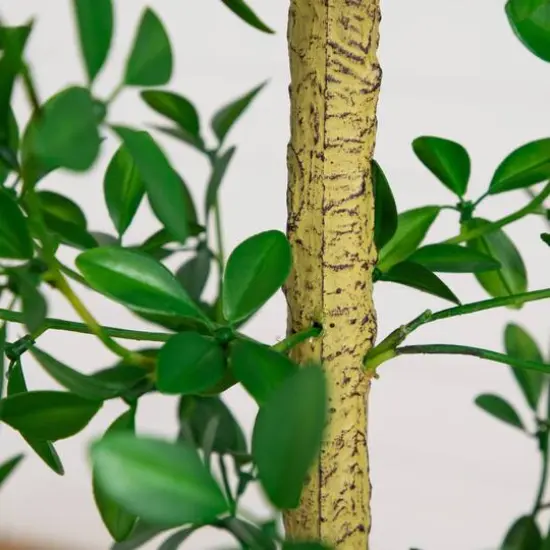 7ft. Artificial Shady Lady Black Olive Tree {6}