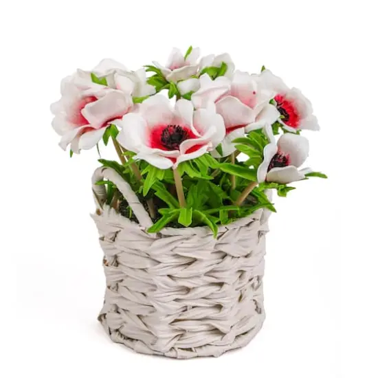 10" Anemone Flower Bouquet In White Basket {1}