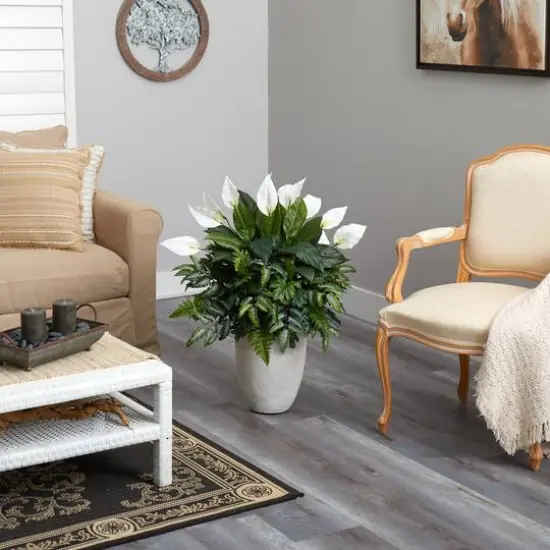 3ft. Mixed Peace Lily Plant in Decorative White Planter {5}