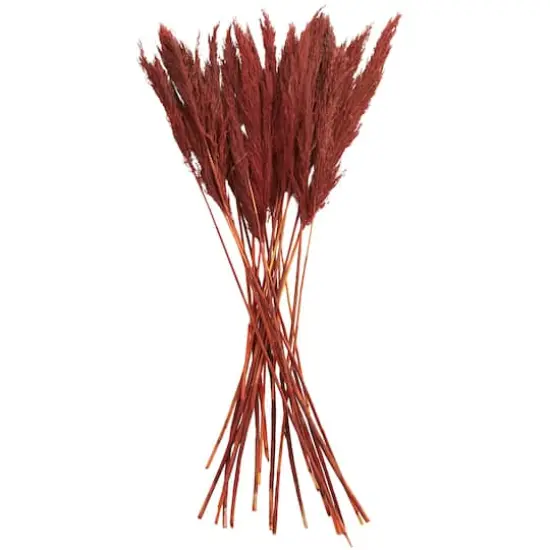 Dried Plant Bamboo Natural Foliage with Long Stems Red {1}