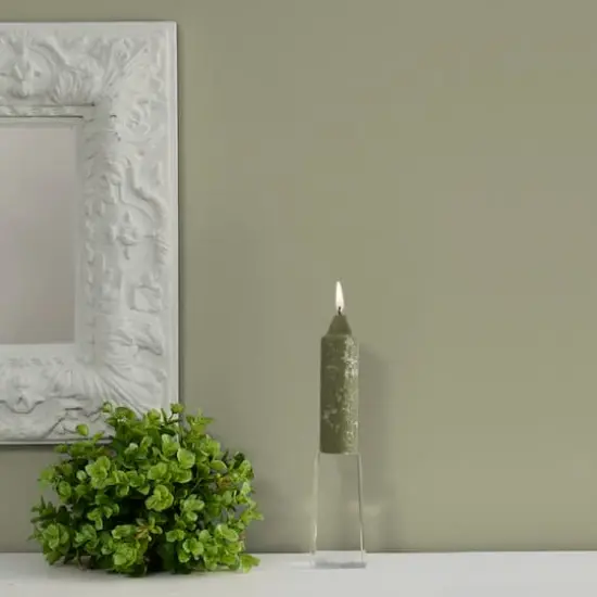 Root Candles 5" Unscented Timberline&trade; Collenette Taper Candles, 8ct. Dark Olive {4}