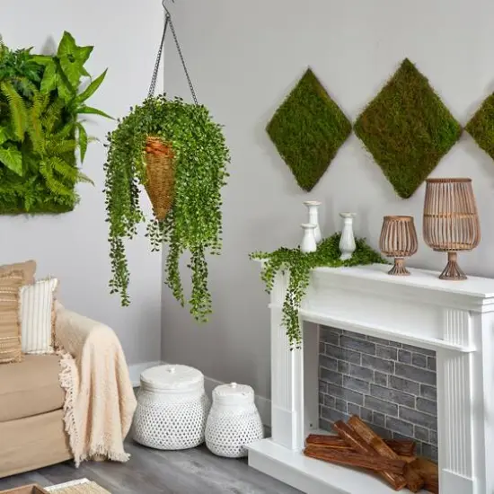 4ft. Honey Locust Plant in Hanging Cone Basket {5}