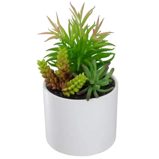 9" Succulent Arrangement in White Ceramic Pot {5}