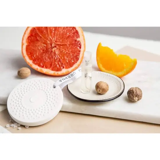 European Soaps Ceramic Stone Diffuser & FragranceCitrus and Seed {6}