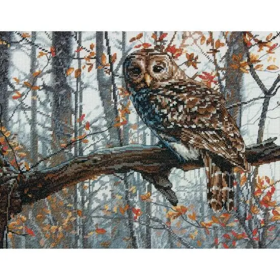 Dimensions&reg; Wise Owl Counted Cross Stitch Kit {3}
