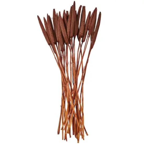 Dried Plant Bunny Tail Natural Foliage with Long Stems Dark Brown {5}
