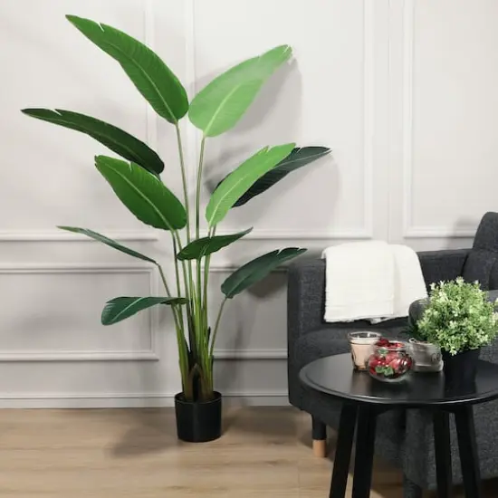 5.25ft. Potted Travelers Palm Tree {4}