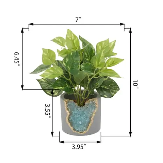 Flora Bunda&reg; 10" Devil's Ivy in Blue Crystal Planter {4}