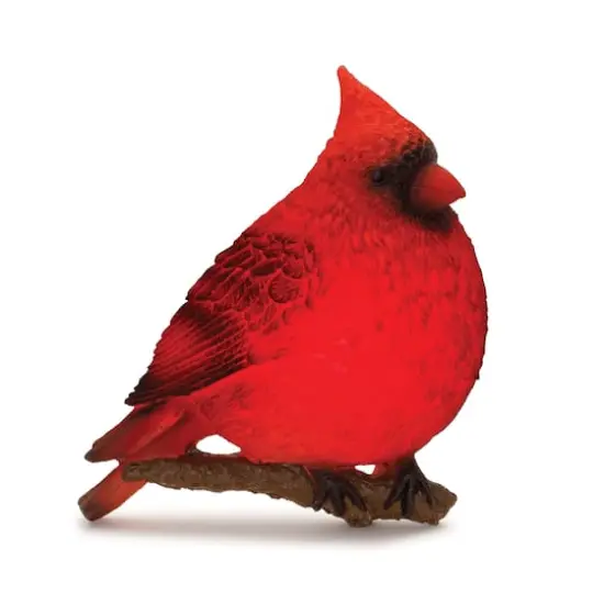 11" LED Cardinal Bird Wall Hanging Set {3}