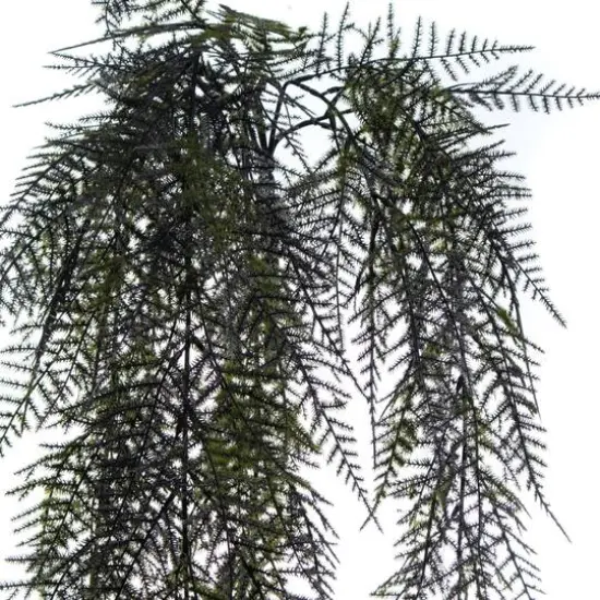 28" Dark Green Hanging Fern Bush by Ashland&reg; {3}