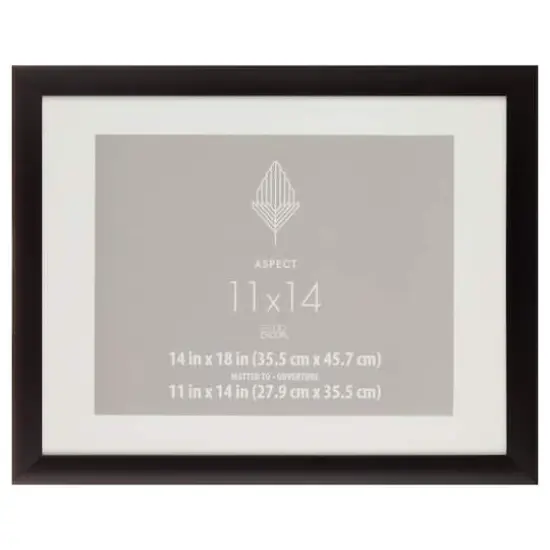 Aspect Black Frame with Mat by Studio D&eacute;cor&reg; {1}