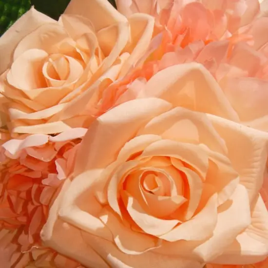 12" Peach Rose & Peony Bundle {4}