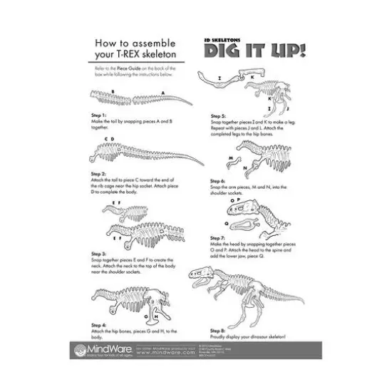 Dig It Up! - Dino Model: Tyrannosaurus Rex {9}